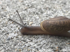 Meet your Posher, Blake